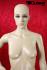 Elegant Robust Female Mannequin