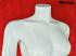 Female Mannequin, headless, white shining