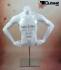 Male torso headless, white