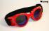 Motorradbrille rot, Rainbow-getnte Glser