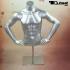 Silver male torso